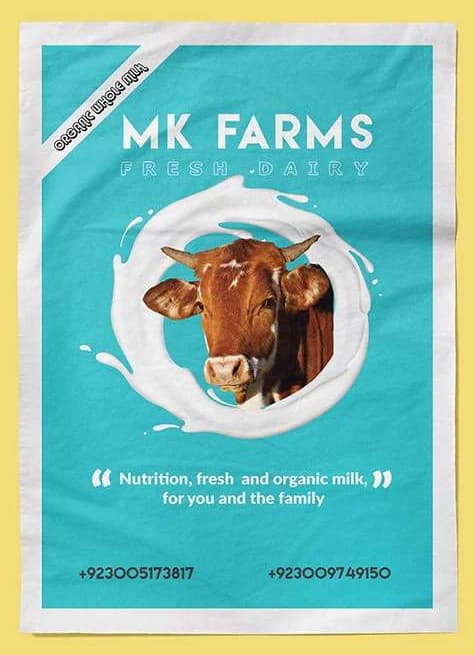 The MK Farms fresh dairy poster: a cow’s head framed by a splash of milk on turquoise, with the line “Nutrition, fresh and organic milk, for you and the family”.